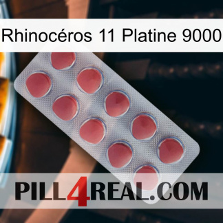 Rhinocéros 11 Platine 9000 18